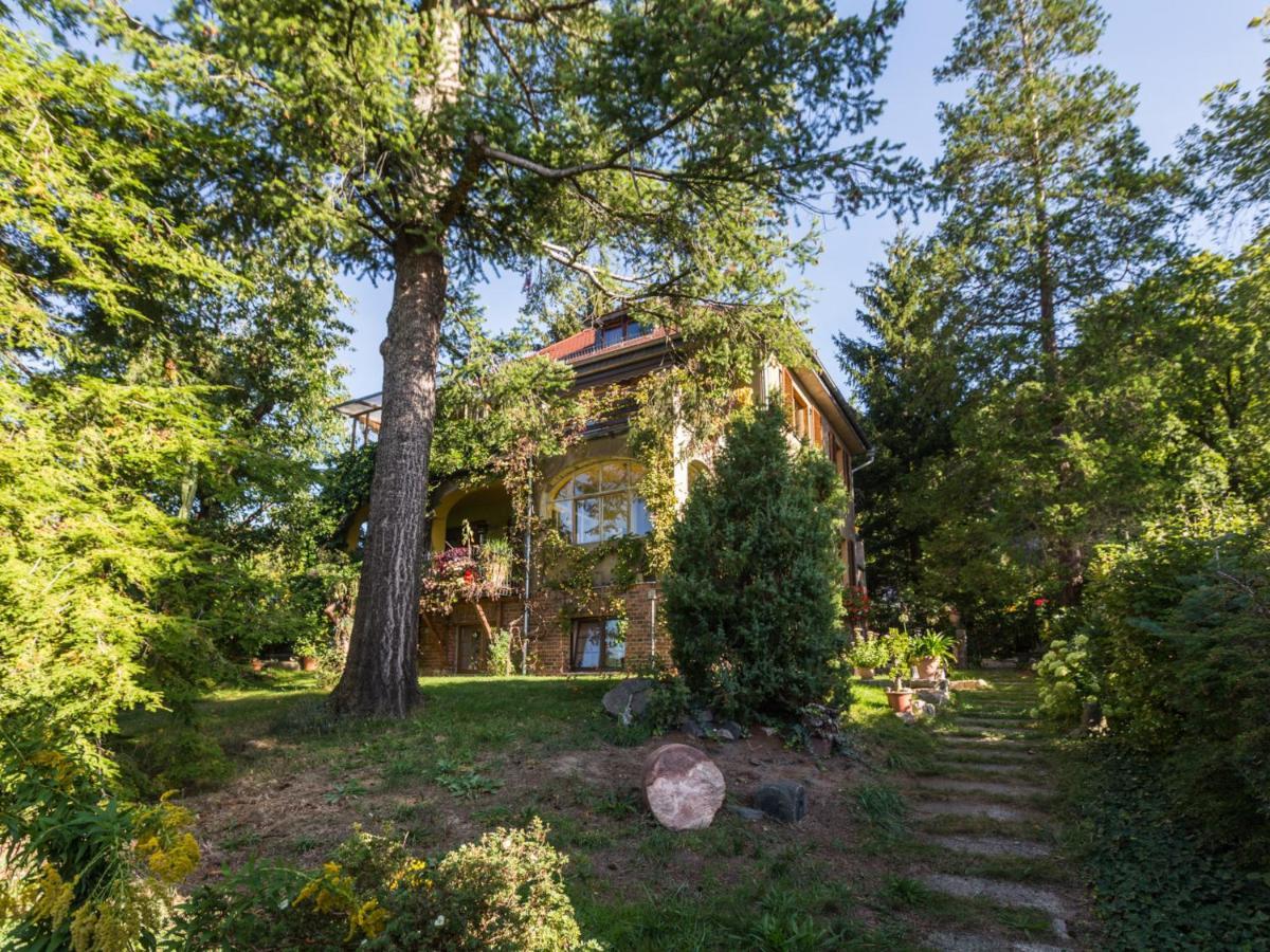 Ferienwohnung Dresden-Pillnitz - Elbhang-Villa - "Am Zuckerhut" Exteriör bild